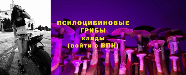 jwh Верея