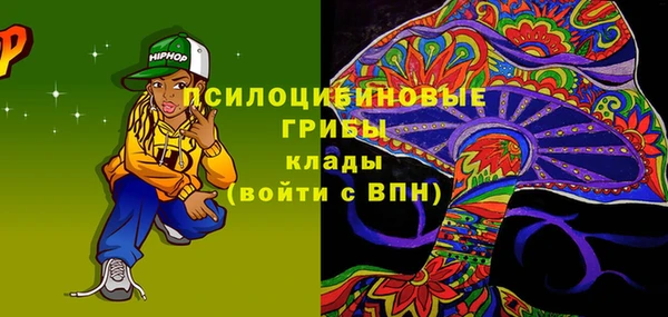 молекула духа Бронницы