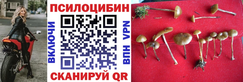 Псилоцибиновые грибы мухоморы  Мещовск 